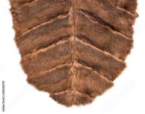 Wrap from fur of a mink on an isolated white background