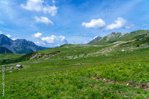 San Pellegrino Pass, Moena , Trentino Alto Adige, Alps, Dolomites, Italy: Landscape at the San Pellegrino Pass (1918 m).It's a high mountain pass in the Italian Dolomites. Summer landscape in the Alps