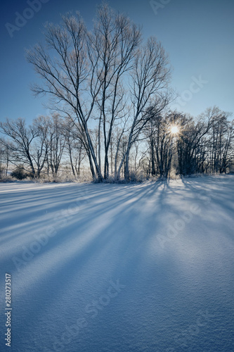 Beautiful morning scenery with a snow covered landscape and the sun rising behind some bare trees. © franconiaphoto