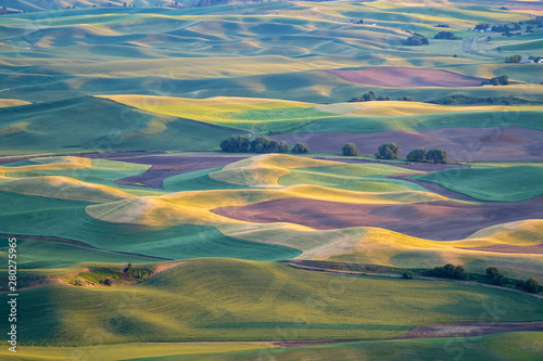 Golden hour sunset aerial view of The Palouse region of Eastern Washington State, as seen from Steptoe Butte State Park, of patchwork style rolling farmland and hills photo