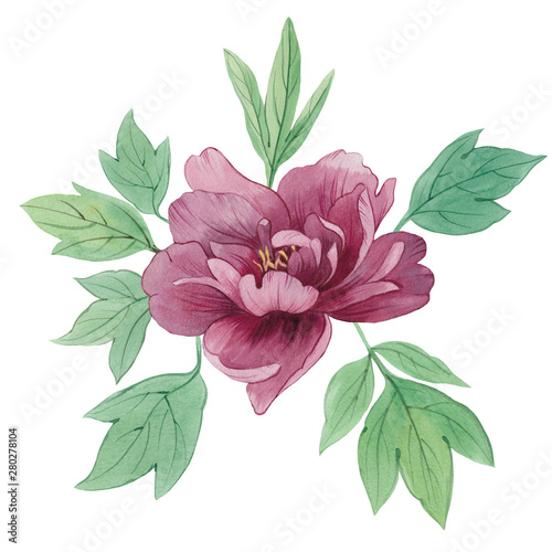 watercolor flower with leaves. artistic design of leaves and flowers.