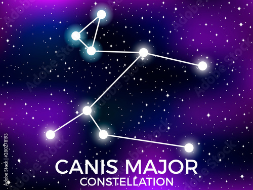 Canis Major constellation. Starry night sky. Cluster of stars and galaxies. Deep space. Vector illustration