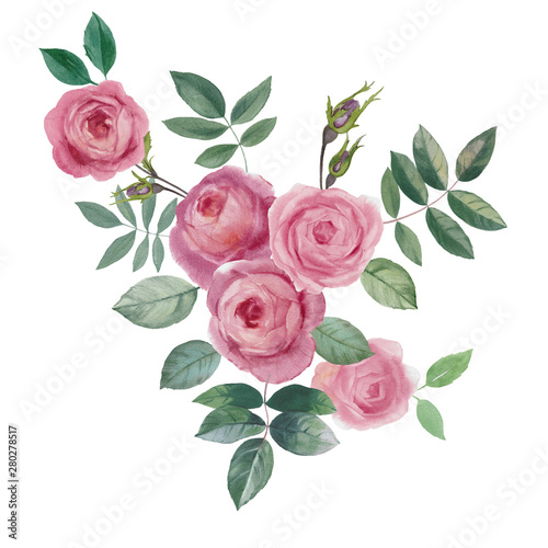 Watercolor rose hip flowers and leaves, hand drawn floral illustration isolated on a white background. watercolor hand painting.