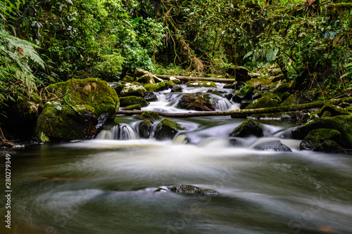 small waterfall with blurred water on the rocks in the brazilian rainforest with tropical trees around