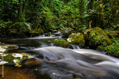 small waterfall with blurred water on the rocks in the brazilian rainforest with tropical trees around