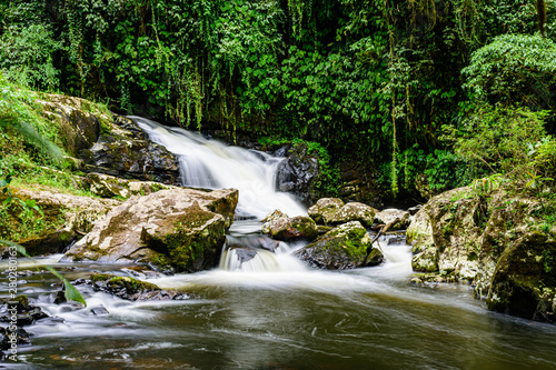 waterfall in the forest