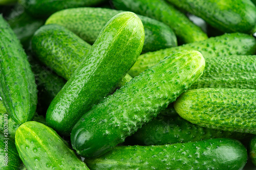 Cucumber background. Fresh vegetables