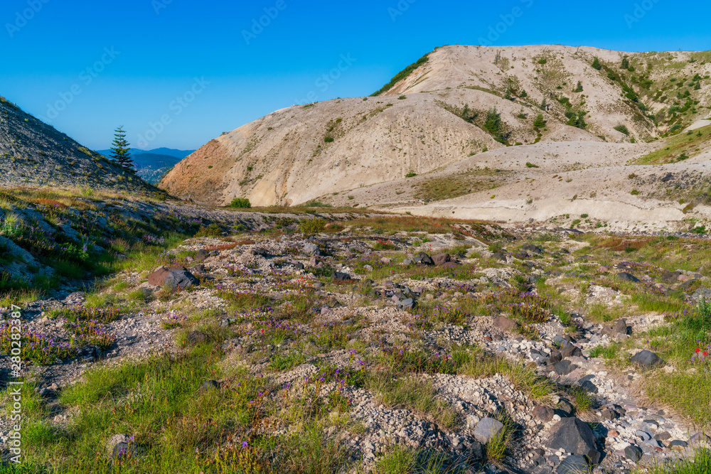 Hiking Trail At Mount Saint Helens National Monument Hiking Trail At Mount Saint Helens National Monument