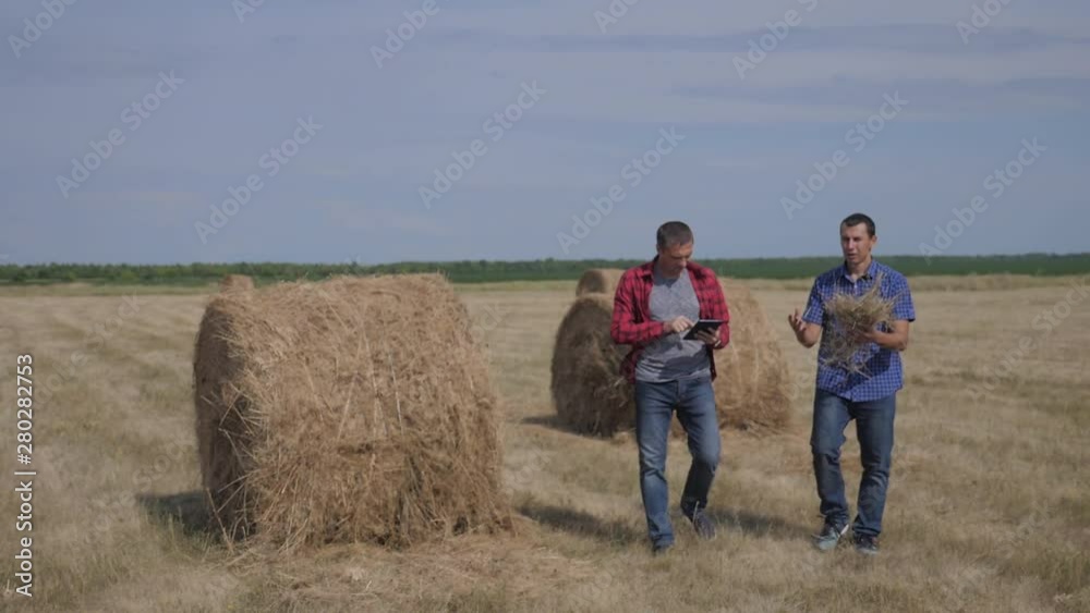 teamwork agriculture smart farming concept. two men farmers workers studying a haystack in field on digital tablet. teamwork slow motion video. people agronomist lifestyle botanist farmers working in teamwork agriculture smart farming concept. two men farmers workers studying a haystack in field on digital tablet. teamwork slow motion video. people agronomist lifestyle botanist farmers working in