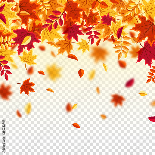 Autumn falling leaves. Nature background with red, orange, yellow foliage. Flying leaf. Season sale. Vector illustration.