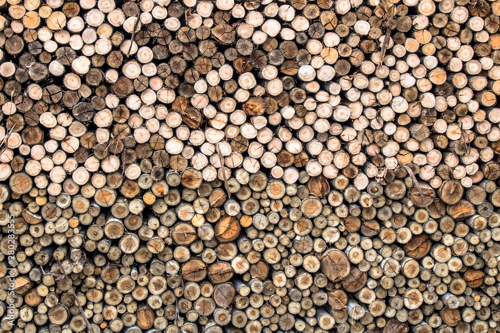 Preparation of firewood for the industry. firewood background. Pile of firewood. Preparation of firewood for the industry. firewood background. Pile of firewood.