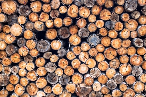 Preparation of firewood for the industry. firewood background. Pile of firewood.