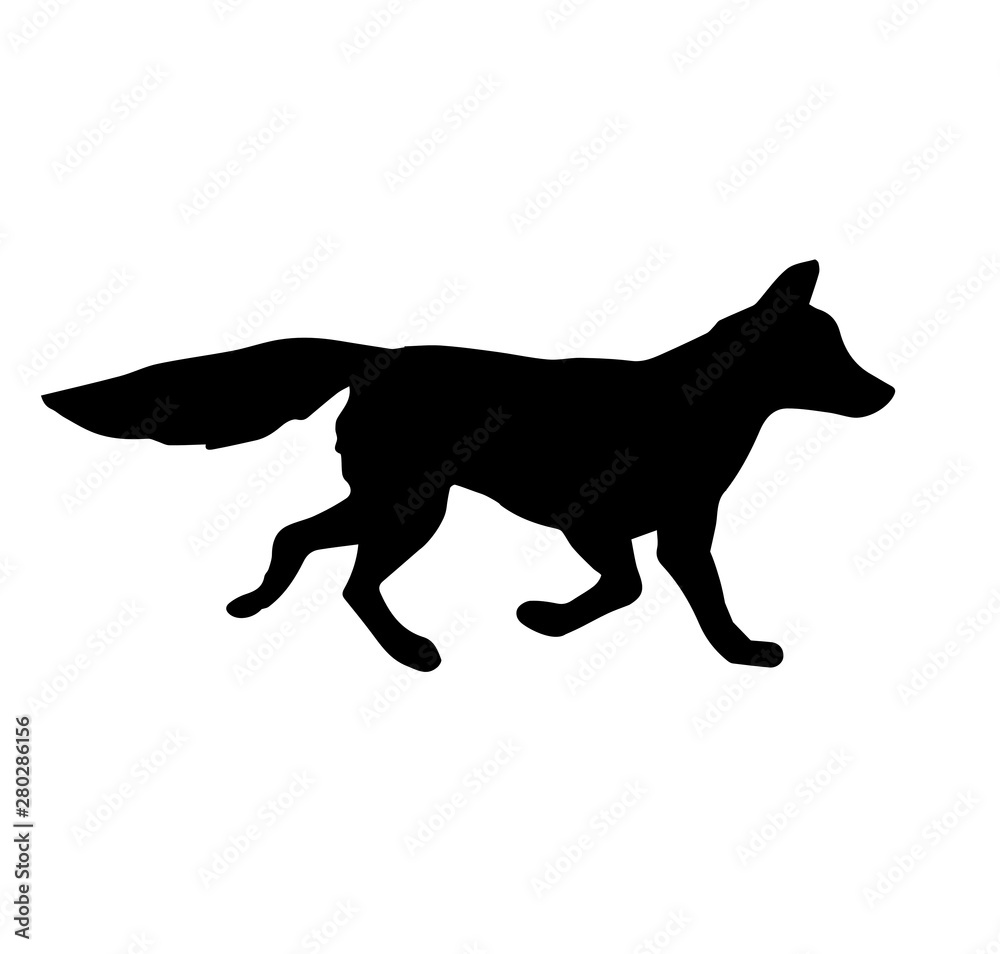 Vector black silhouette of fox isolated on white background