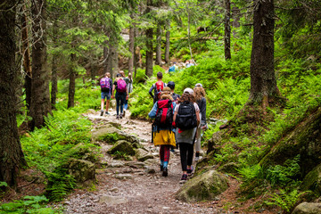 Young hikers in forest heading towards High Tatras peak