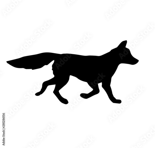 Vector black silhouette of fox isolated on white background