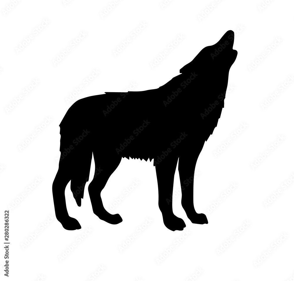 Vector black silhouette of wolf howling isolated on white background