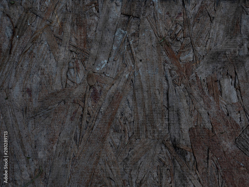 Sandy Ground Texture 3
