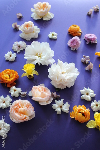 flowers on blue background