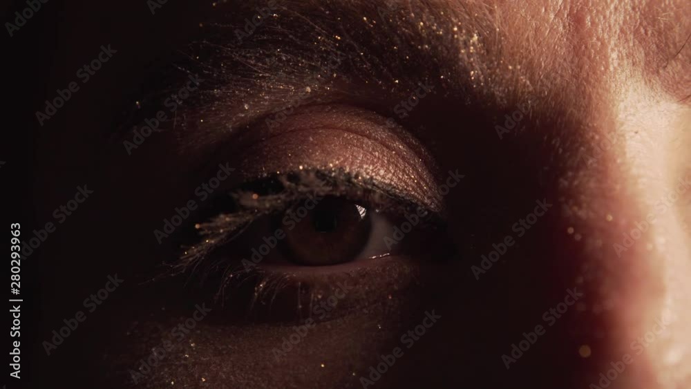 Womans Eye Makeup Closeup Glitter Sparkle Glamour 10