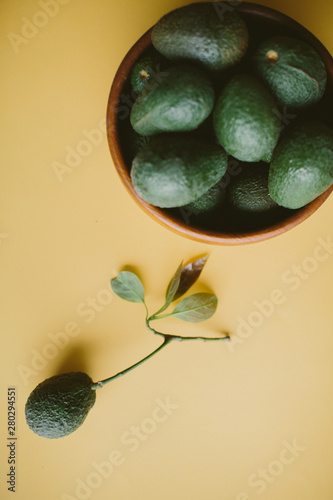 fresh picked california avocados