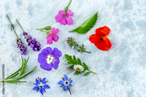 concept of homeopathic pills with homeopathy granules and medicinal flowers and plantson a grey wooden background
