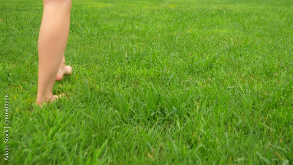 female legs walk on the green grass in the dew barefoot. close-up female legs walk on the green grass in the dew barefoot. close-up