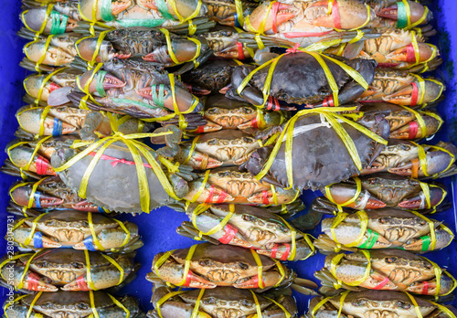 Crab fresh at street food market in thailand