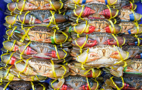 Crab fresh at street food market in thailand