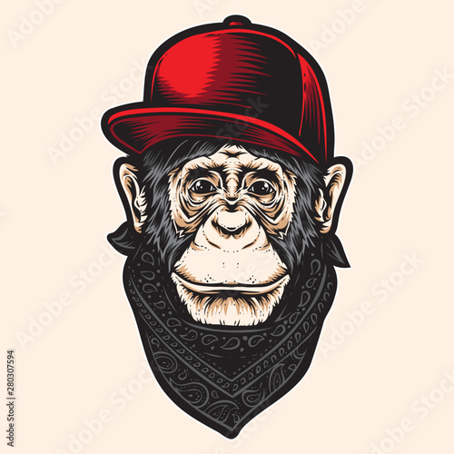 ape with caps vector
