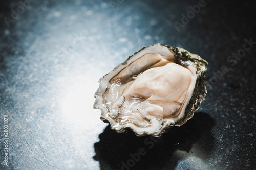 Skookum Inlet Oyster photo