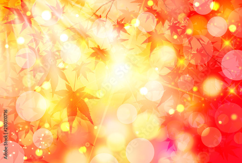 紅葉　もみじ　葉　背景 