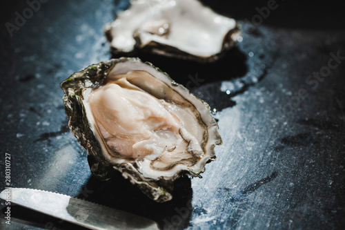 Skookum Inlet Oyster photo