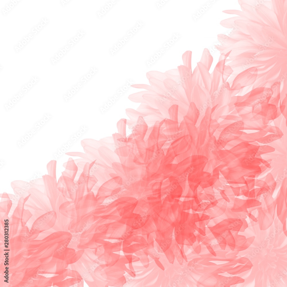 red hand drawn watercolor chrysanthemum floral background pattern with white corner