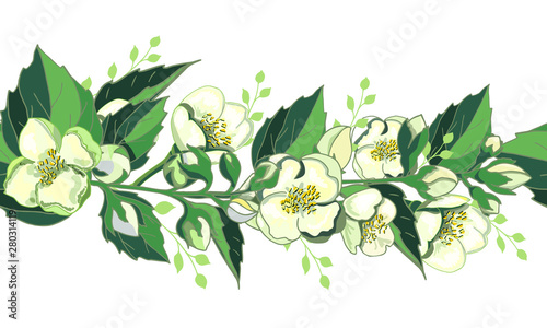 Seamless floral border with jasmine. Endless horizontal decorative pattern brush