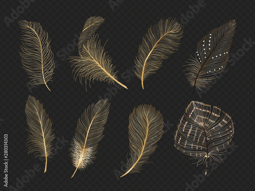 Gold feathers vector collection