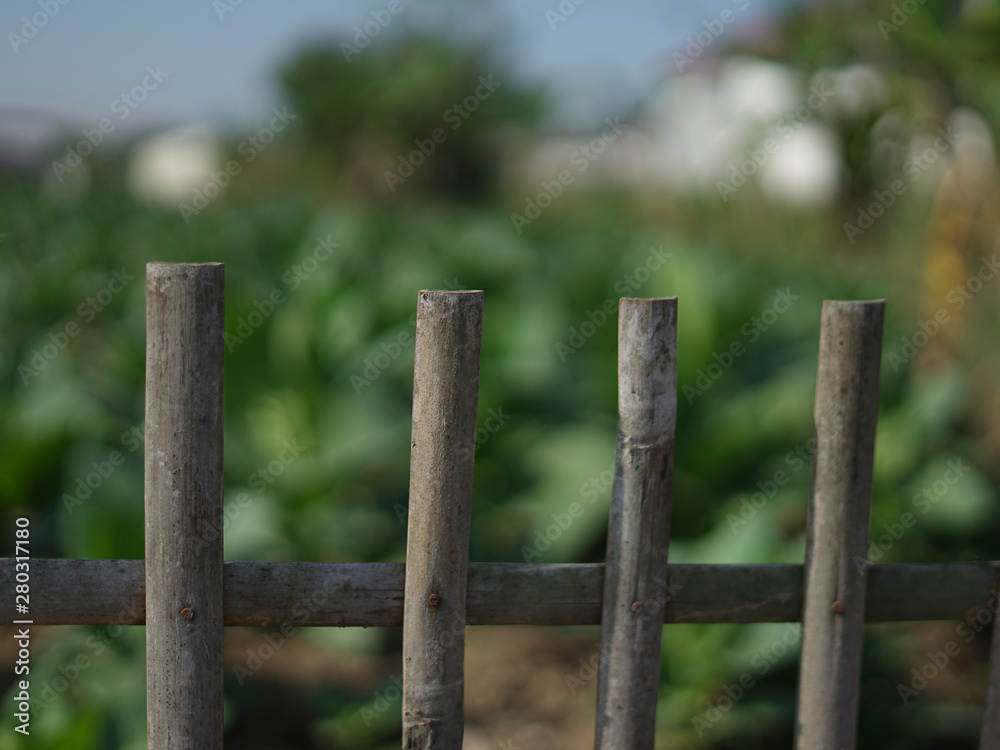 Dry Old Bamboo Fence Sidewalk Park Garden