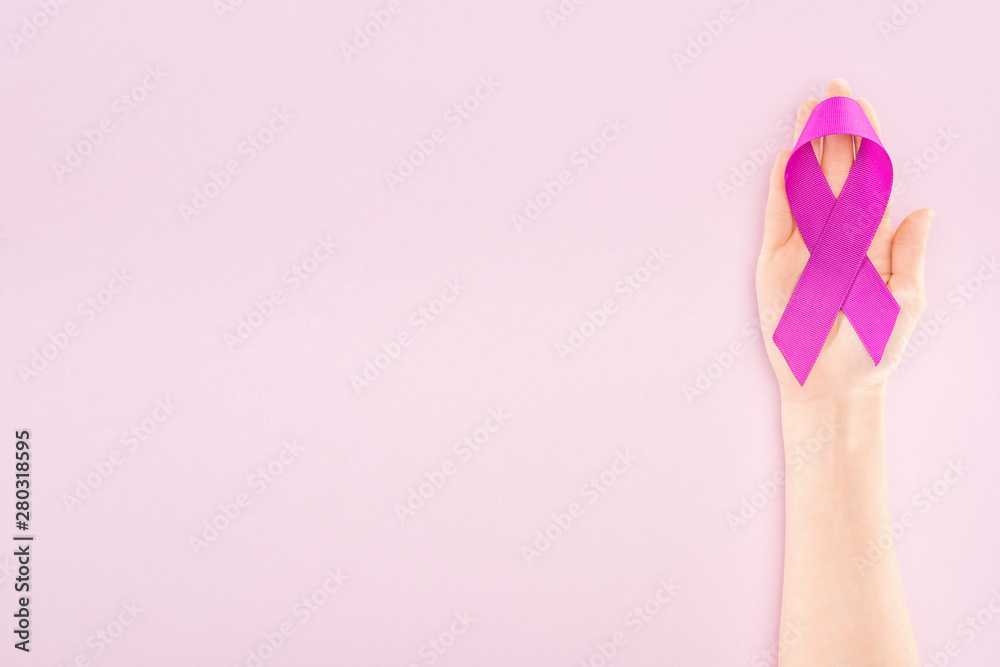 cropped view of purple ribbon on hand of woman isolated on pink