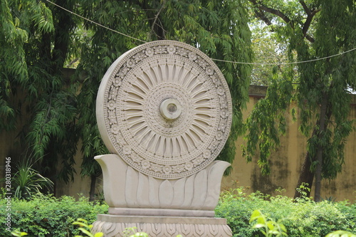 ashoka chakra in garden