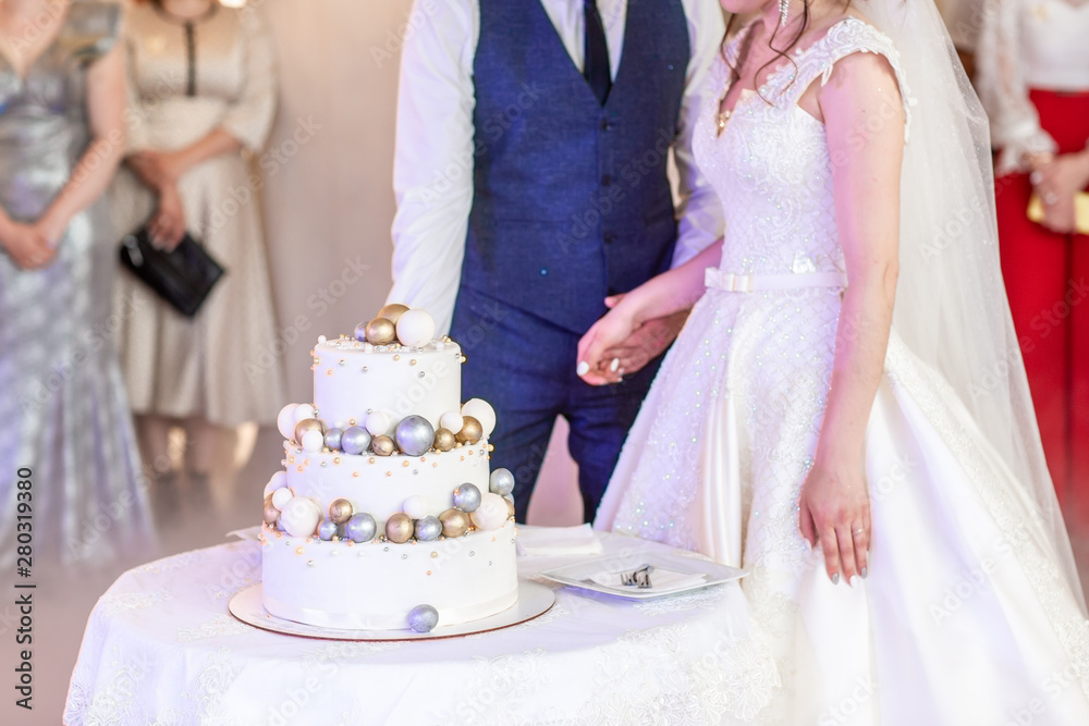 Bride and Groom at Wedding Reception Cutting the Wedding Cake Bride and Groom at Wedding Reception Cutting the Wedding Cake