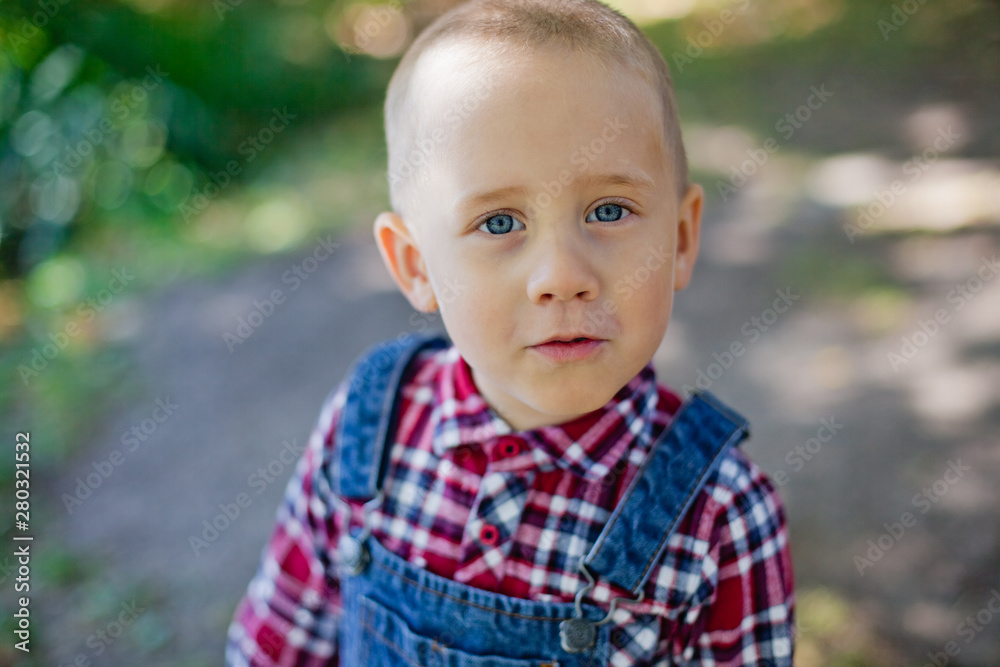 large portrait of a boy in nature large portrait of a boy in nature