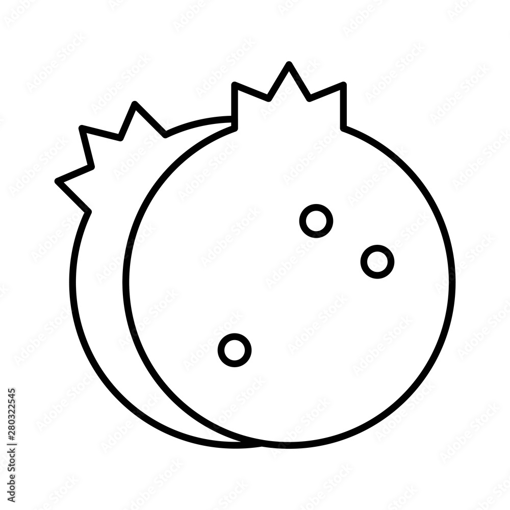 Pomegranate vector, Chirstmas related line style icon Pomegranate vector, Chirstmas related line style icon