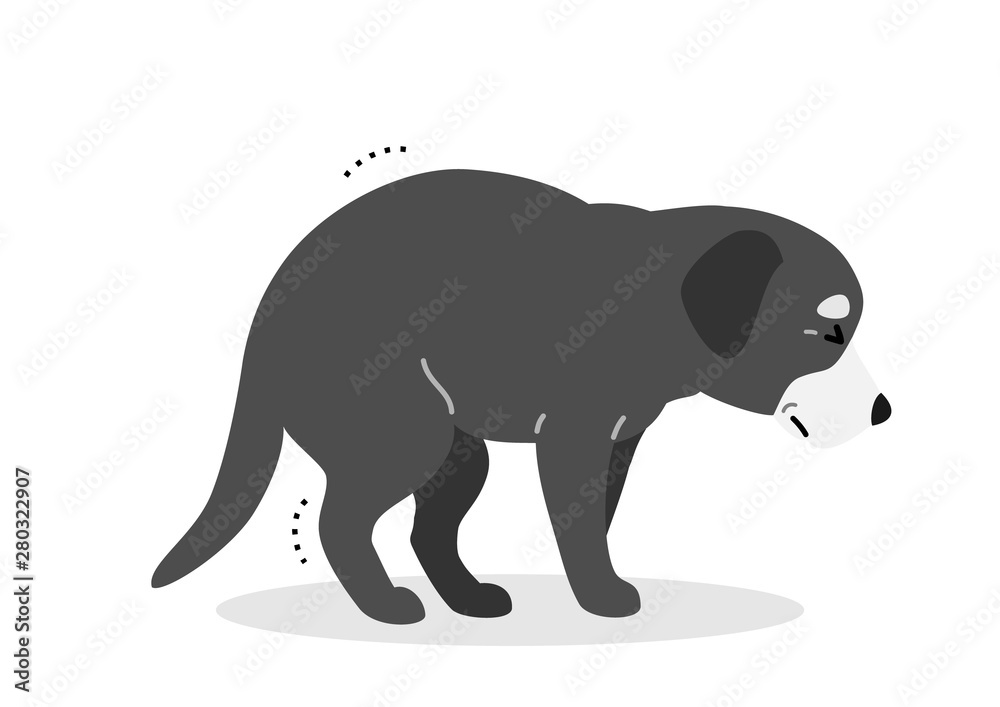 old dog hard to stand