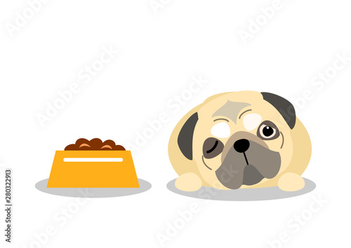 old dog does not eat