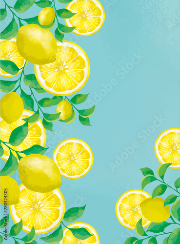 FRUITS レモン 果汁 100％ 果肉 断面図 カットフルーツ 背景 背景素材 フレッシュ ジュース フレッシュ素材 果物