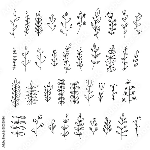 Vector collection of floral ornament dividers isolated on white background. Sketch ornaments in hand drawn style for concept design
