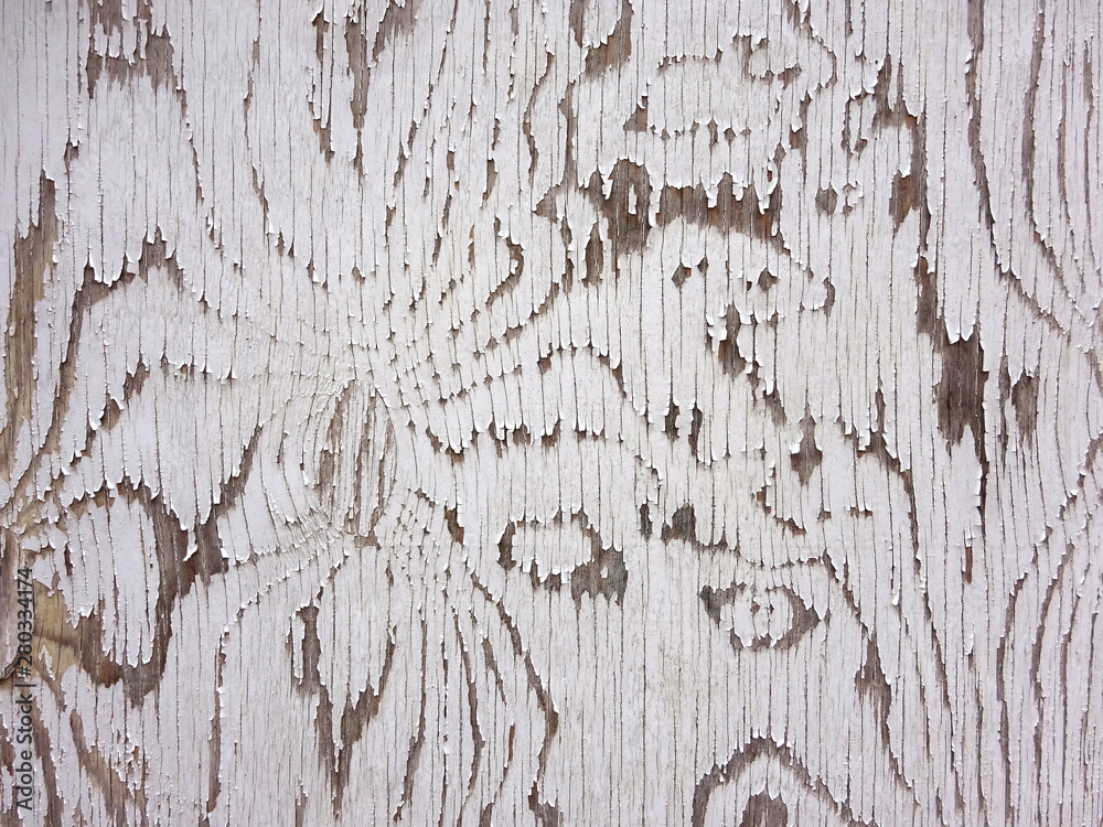 Obraz premium Detail of old wooden textured door with pilling white paint for background 