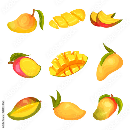 Collection of images of mango. Vector illustration on white background.