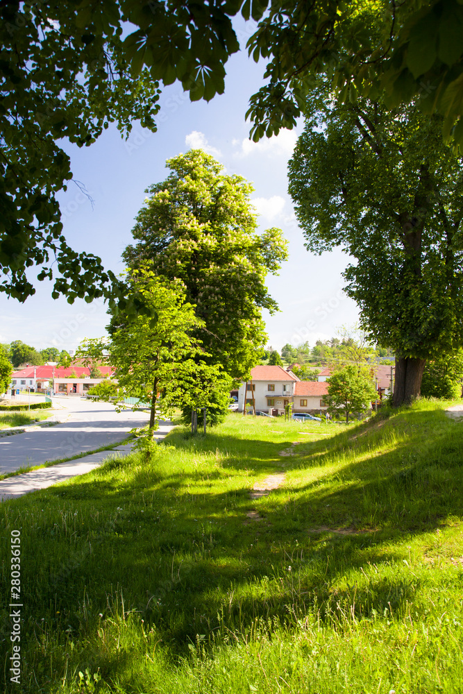 Beatiful spring rural landscape with blue sky