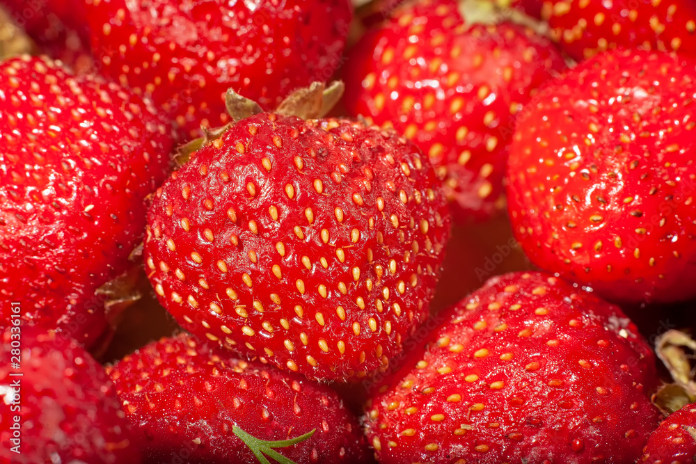 Ripe strawberries with a solid background and close-up. Ripe strawberries with a solid background and close-up.