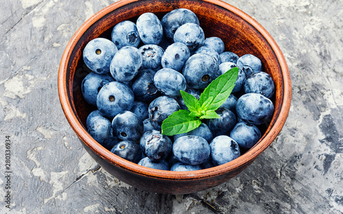 Berries blueberries or bilberry